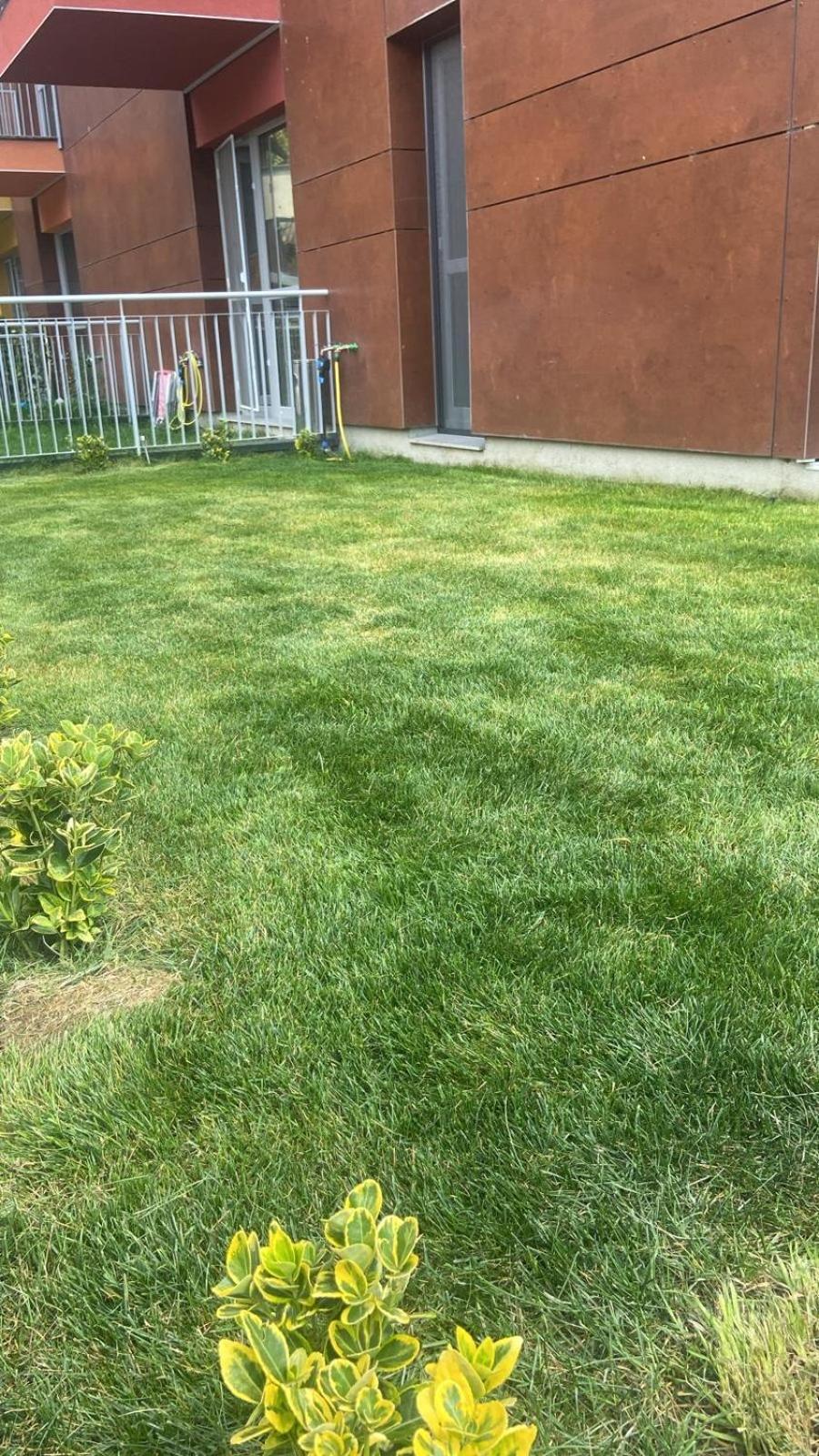 Dream Garden Apartment With Free Parking 锡纳亚 外观 照片